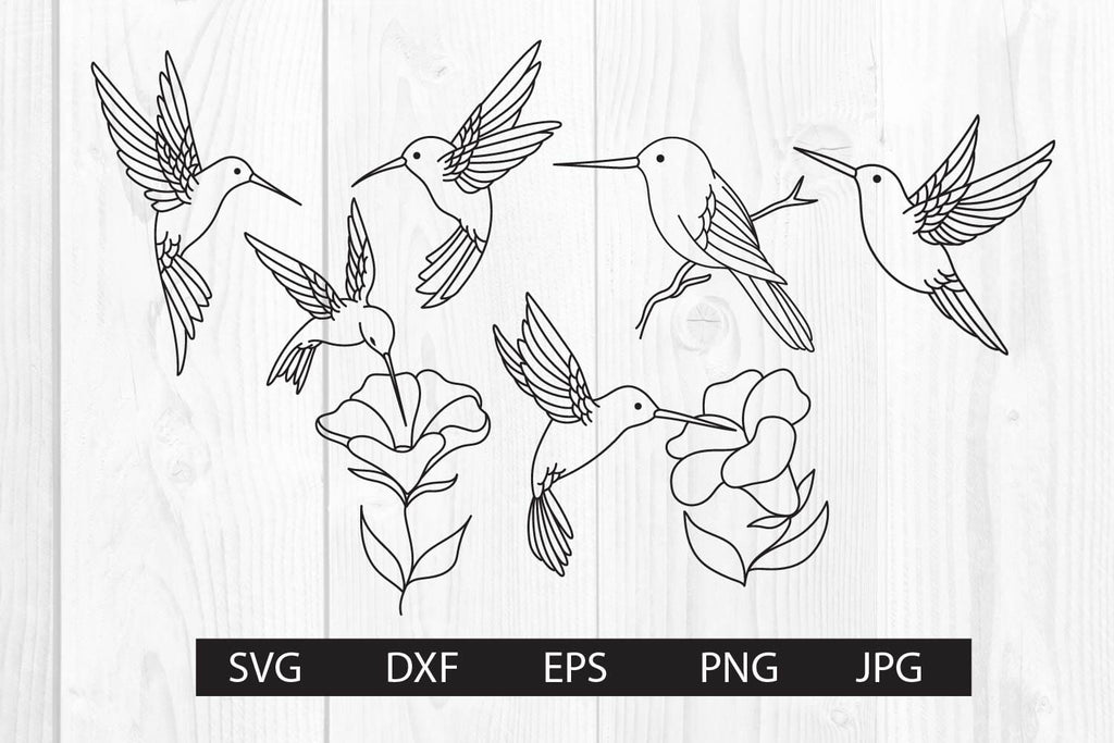 Hummingbird hand drawn svg bundle - So Fontsy