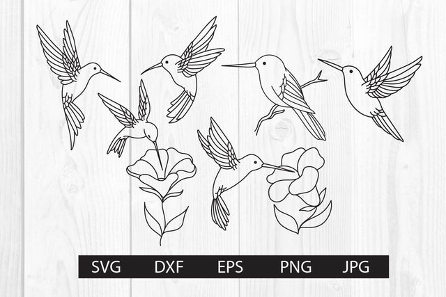 Hummingbird hand drawn svg bundle SVG dadan_pm 