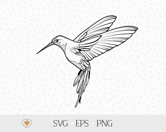 Hummingbird svg, Bird flying png SVG Pretty Meerkat 