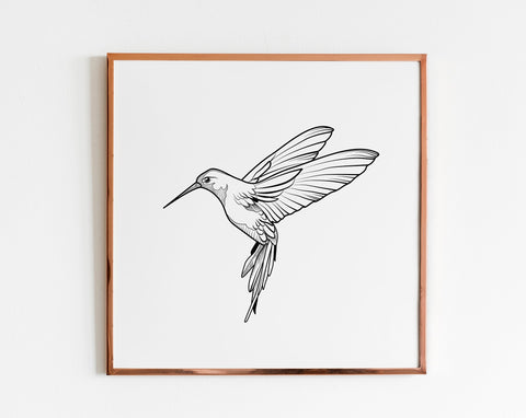 Hummingbird svg, Bird flying png SVG Pretty Meerkat 