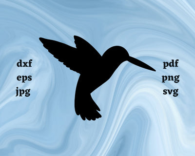 Hummingbird SVG Cut File SVG Northern Light SVG 