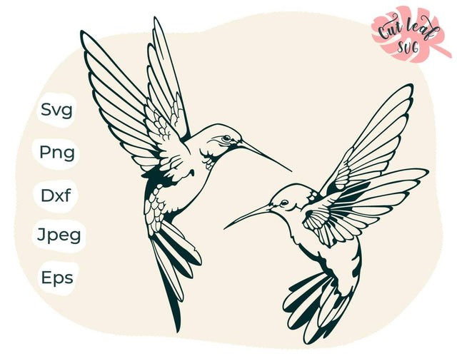 Hummingbird svg, Hummingbird clipart, hummingbird cut file, bird svg, humming bird svg, hummingbird vector, hummingbird print SVG CutLeafSvg 