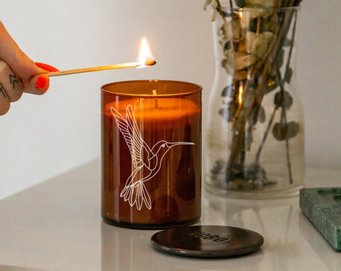 Hummingbird svg, Hummingbird flying png, svg files for cricut SVG Pretty Meerkat 