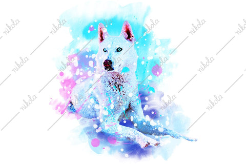 Husky Watercolor Sublimation Clipart PNG JPG Sublimation nikola 