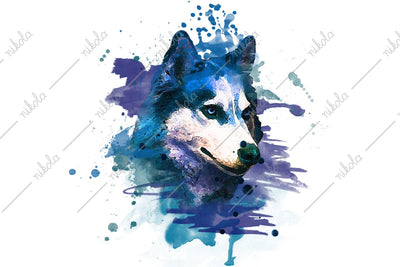 Husky Watercolor Sublimation Clipart PNG JPG Sublimation nikola 