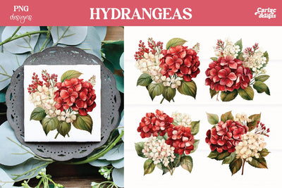 Hydrangeas Clipart PNG | Watercolor Flowers PNG Sublimation Carla C Designs 