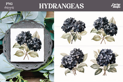 Hydrangeas Clipart PNG | Watercolor Flowers PNG Sublimation Carla C Designs 