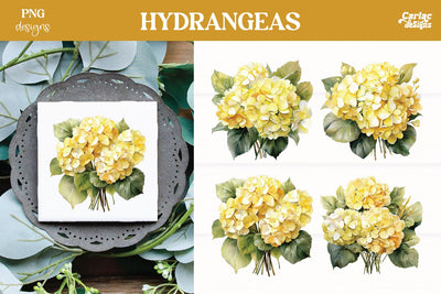 Hydrangeas Clipart PNG | Watercolor Flowers PNG Sublimation Carla C Designs 