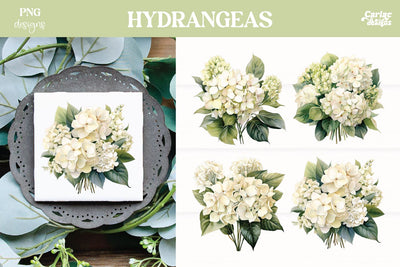 Hydrangeas Clipart PNG | Watercolor Flowers PNG Sublimation Carla C Designs 