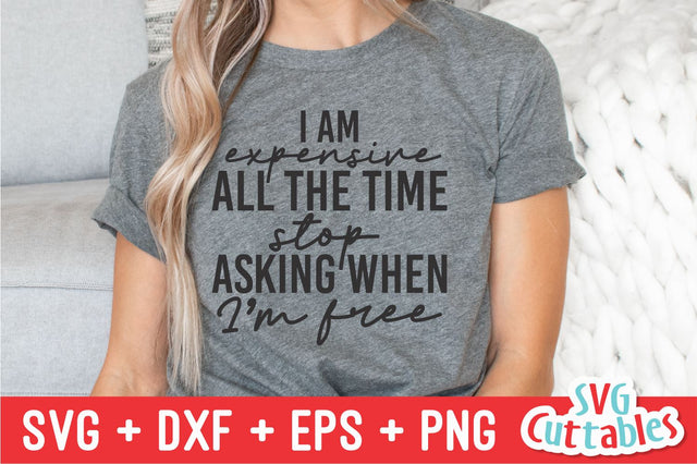 I Am Expensive All The Time svg - Funny Cut File - Sassy svg - svg - dxf - eps - png - Silhouette - Cricut - Digital File SVG Svg Cuttables 