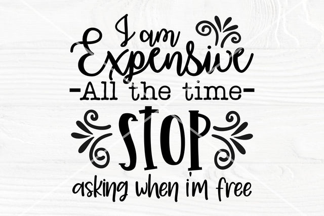 I am expensive all the time SVG | Funny Saying svg SVG TonisArtStudio 