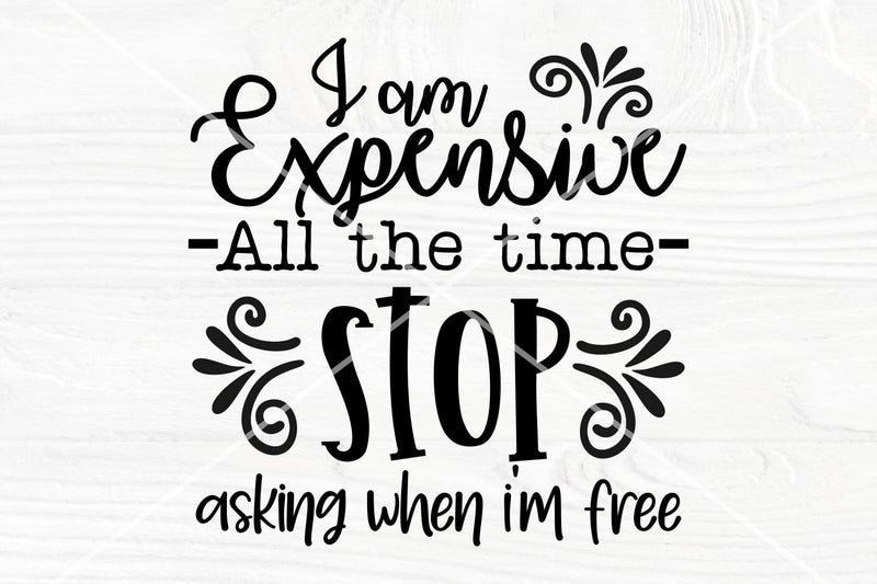 I am expensive all the time SVG | Funny Saying svg SVG TonisArtStudio 