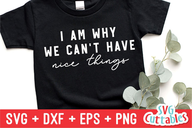 I Am Why We Can't Have Nice Things svg - Funny Cut File - Kids Shirt svg - dxf - eps - png - Toddler - Silhouette - Cricut - Digital File SVG Svg Cuttables 