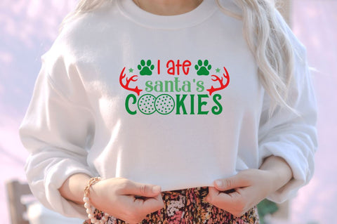 I ate santa's cookies SVG SVG DESIGNISTIC 