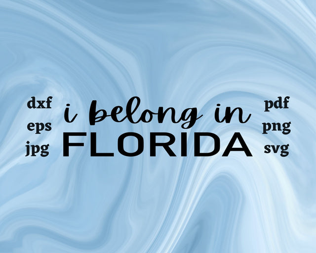 I Belong in Florida SVG Cut File SVG Northern Light SVG 