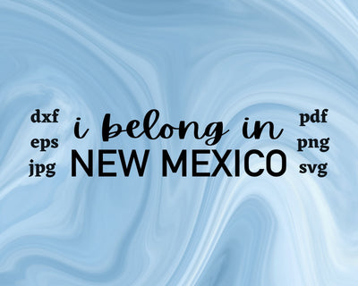 I Belong in New Mexico SVG Cut File SVG Northern Light SVG 