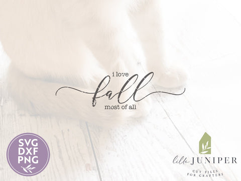 I Love Fall Most of All SVG | Autumn SVG | Farmhouse Sign Design SVG LilleJuniper 