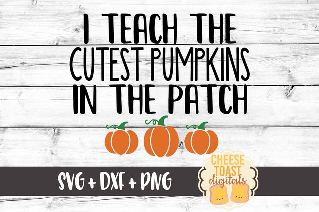 I Teach The Cutest Pumpkins In The Patch SVG Cheese Toast Digitals 