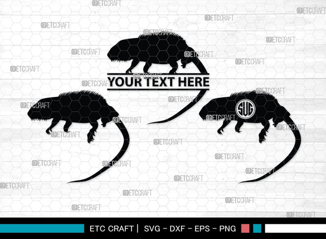 Iguana Monogram, Iguana Silhouette, Iguana SVG, Lizard Svg, Reptile Svg, Chameleon Svg, Gecko Svg, SB00283 SVG ETC Craft 