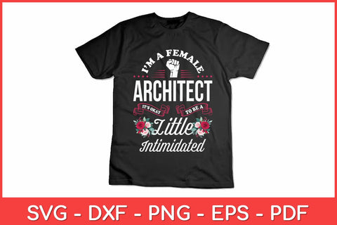 I’m A Female Architect It’s Okay To Be A Little Intimidated Svg Design SVG artprintfile 