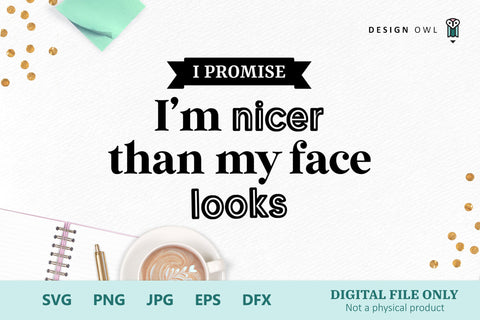 I'm Nicer Than My Face Looks - Funny T shirt SVG file SVG Design Owl 