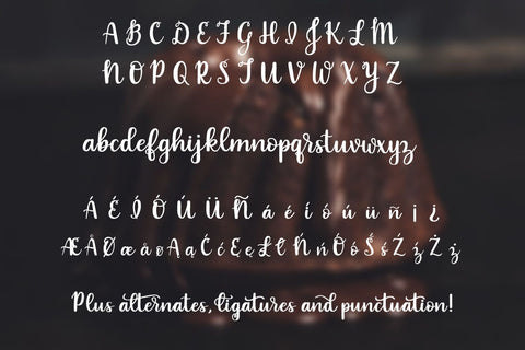 Indulgence - A handlettered script font Font Stacy's Digital Designs 