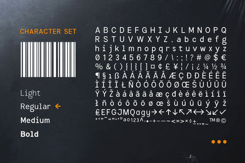 Informe - Monospaced Font Arterfak Project 