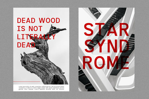 Informe - Monospaced Font Arterfak Project 