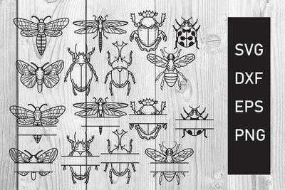 insect monogram, insect svg cut file SVG dadan_pm 