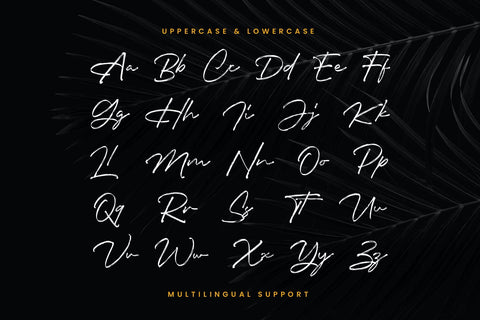 Insiders - Signature Brush Font Arterfak Project 