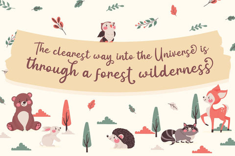 Intima Politha - Script Font Font Attype studio 