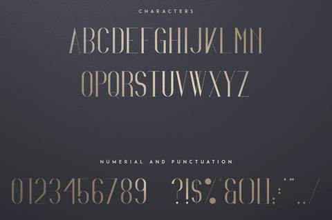 Irina Luxe Serif Font Font VPcreativeshop 