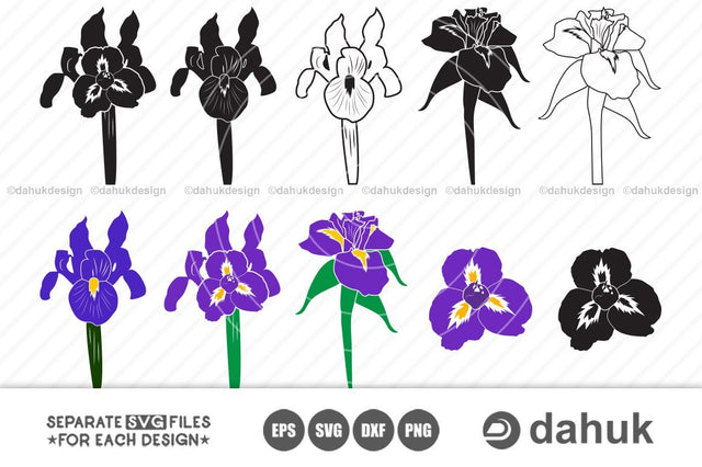 Iris Flower svg, iris boltanical, blossom iris, petals flower, iris flower parts, Cut file, for silhouette, svg, eps, cricut design space SVG dahukdesign 