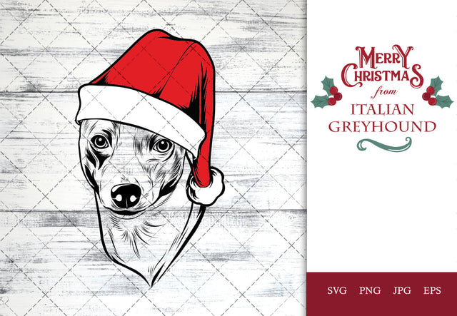 Italian Greyhound dog svg portrait clipart vector graphic art Xmas hat Christmas dog Cricut cut file cuttable design SVG Loveleen Kaur 