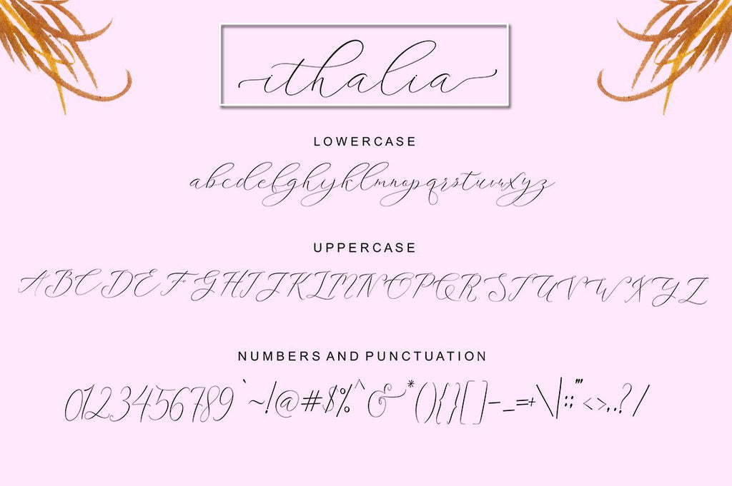 Ithalia Script - So Fontsy