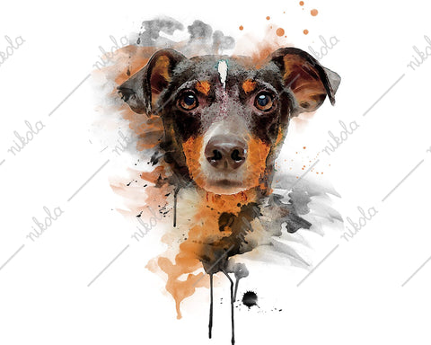 Jack Russell Terrier Watercolor Sublimation, Clipart, PNG, JPG Sublimation nikola 