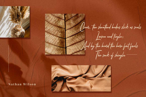 Jackyband - Signature Font Font Ibey Design 