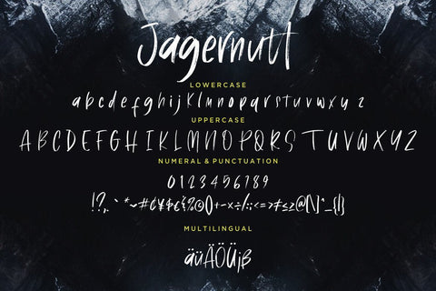 Jagernutt Brush Handwritten Font Creatype Studio 