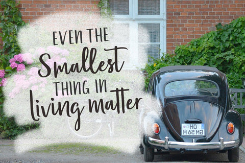 Jamarius Script - A Handwritten Font Duo Font Zane Studio55 