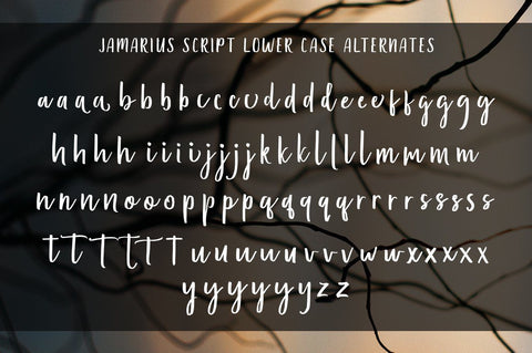 Jamarius Script - A Handwritten Font Duo Font Zane Studio55 