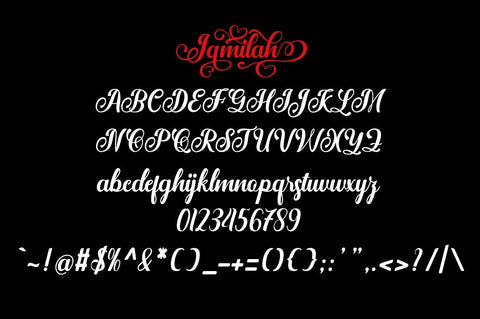 Jamilah Regular and Italic Font marwah store 