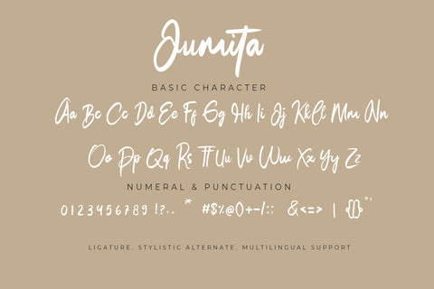 Jamita Handwritten Font LetterdayStudio 