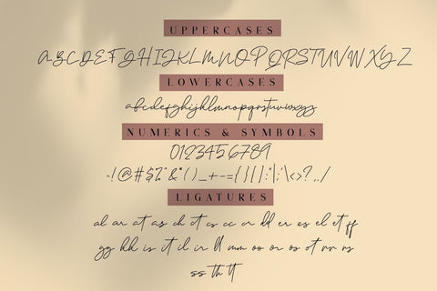 Janethville - Signature Font Font Dm Letter Studio 