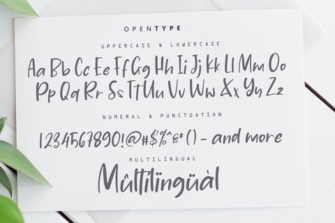 Jasmine Daily - Playful Display Font Font StringLabs 