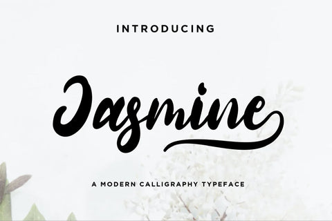 Jasmine Script Font Anastasia 