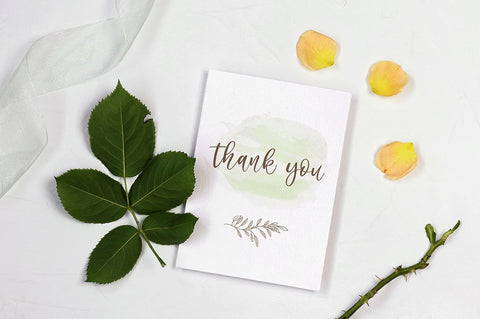 Jasmine Sheffield a Chic Sensual Script Font Haksen 