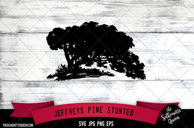Jeffreys Pine (Stunted Specimen) SVG -Vector Art Commercial & Personal Use- Cricut,Silhouette,Cameo,Vinyl Cut SVG Loveleen Kaur 