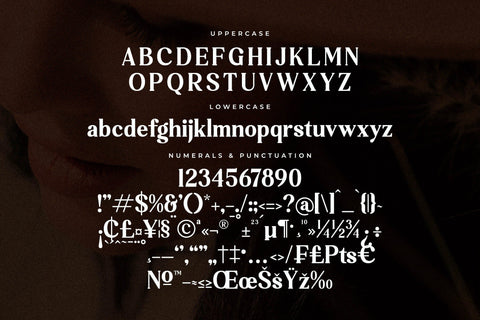 Jelibra Typeface Font Storytype Studio 