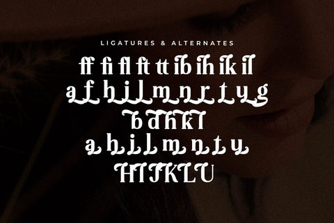 Jelibra Typeface Font Storytype Studio 