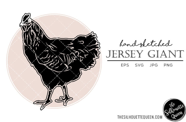 Jersey Giant Chicken Sketch Vector SVG Loveleen Kaur 